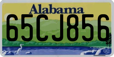 AL license plate 65CJ856