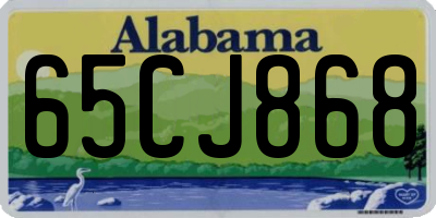 AL license plate 65CJ868