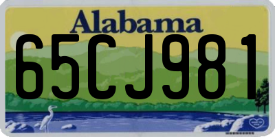 AL license plate 65CJ981