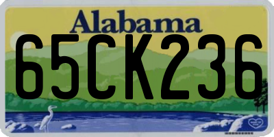 AL license plate 65CK236