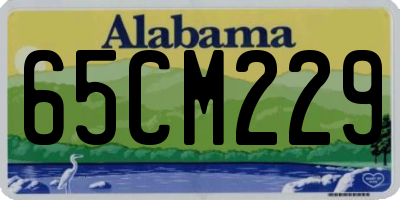 AL license plate 65CM229