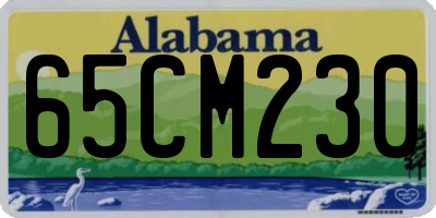 AL license plate 65CM230