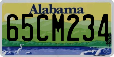 AL license plate 65CM234