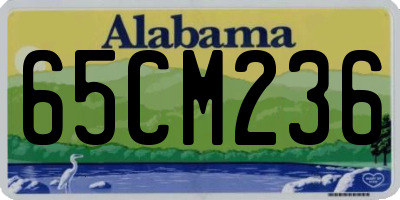 AL license plate 65CM236