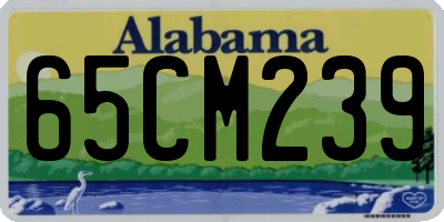 AL license plate 65CM239