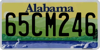 AL license plate 65CM246