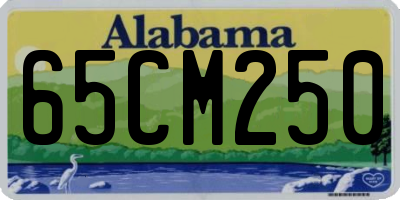 AL license plate 65CM250