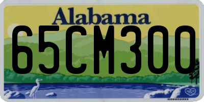 AL license plate 65CM300