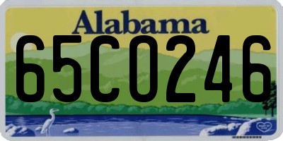 AL license plate 65CO246