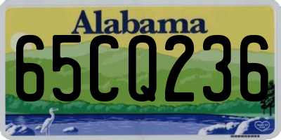AL license plate 65CQ236