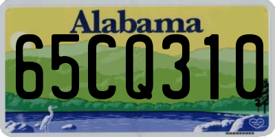 AL license plate 65CQ310