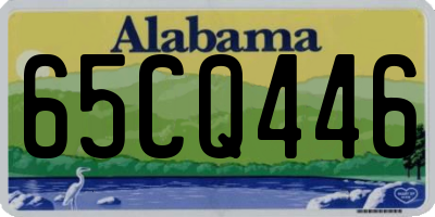 AL license plate 65CQ446