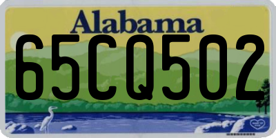 AL license plate 65CQ502