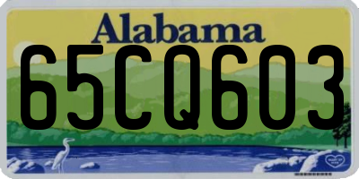 AL license plate 65CQ603