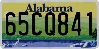 AL license plate 65CQ841