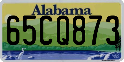 AL license plate 65CQ873