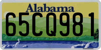 AL license plate 65CQ981