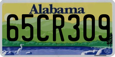 AL license plate 65CR309