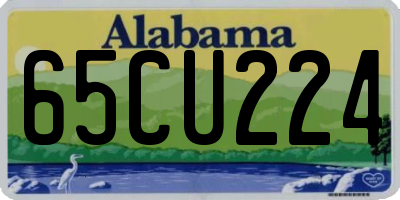 AL license plate 65CU224
