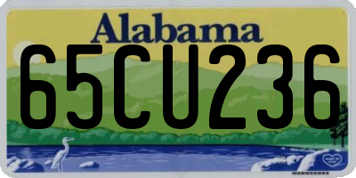 AL license plate 65CU236