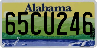 AL license plate 65CU246