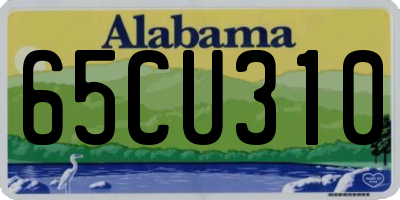 AL license plate 65CU310