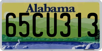 AL license plate 65CU313