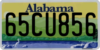 AL license plate 65CU856