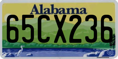 AL license plate 65CX236