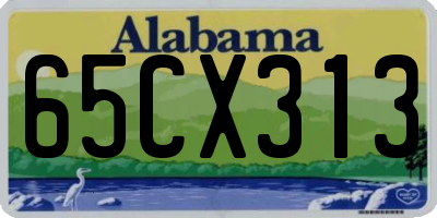 AL license plate 65CX313