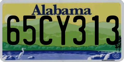 AL license plate 65CY313