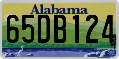 AL license plate 65DB124