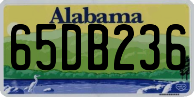 AL license plate 65DB236