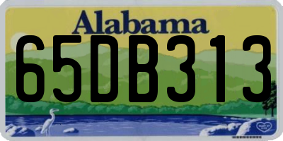 AL license plate 65DB313