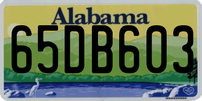 AL license plate 65DB603