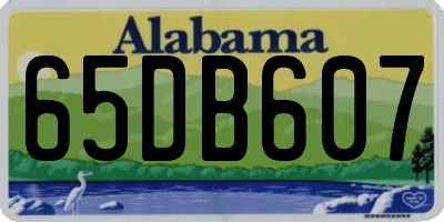 AL license plate 65DB607