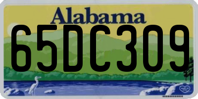 AL license plate 65DC309