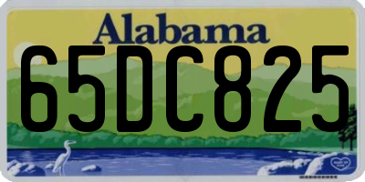 AL license plate 65DC825