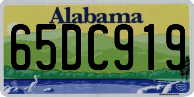 AL license plate 65DC919