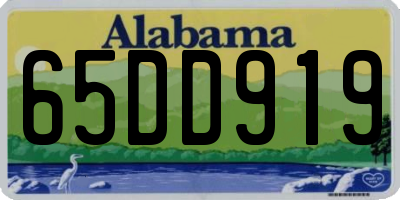 AL license plate 65DD919