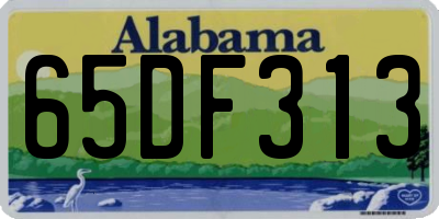 AL license plate 65DF313