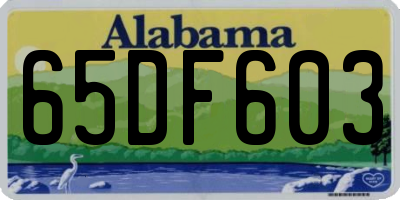 AL license plate 65DF603