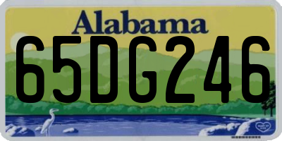 AL license plate 65DG246