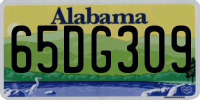 AL license plate 65DG309