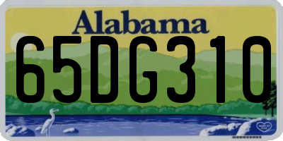 AL license plate 65DG310
