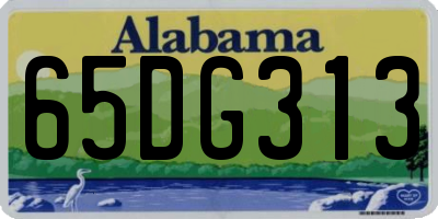 AL license plate 65DG313