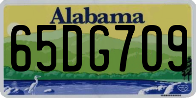 AL license plate 65DG709