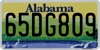 AL license plate 65DG809