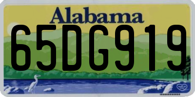 AL license plate 65DG919