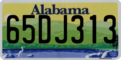 AL license plate 65DJ313